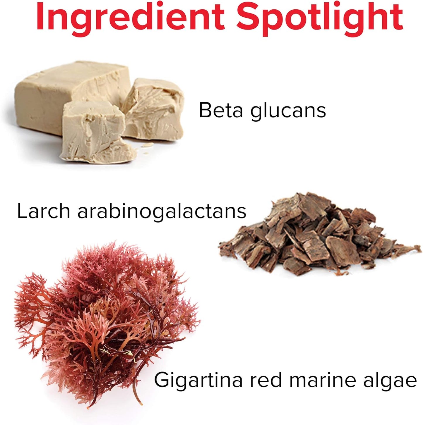 60 Capsules of Immune Defense and Digestive Support for Vibrant Health