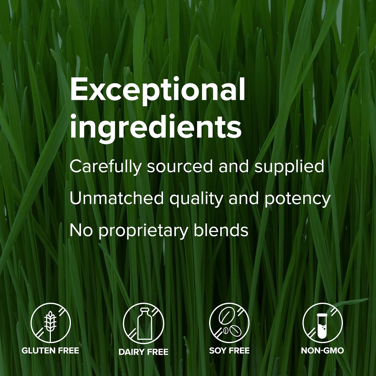 60 Capsules of Immune Defense and Digestive Support for Vibrant Health