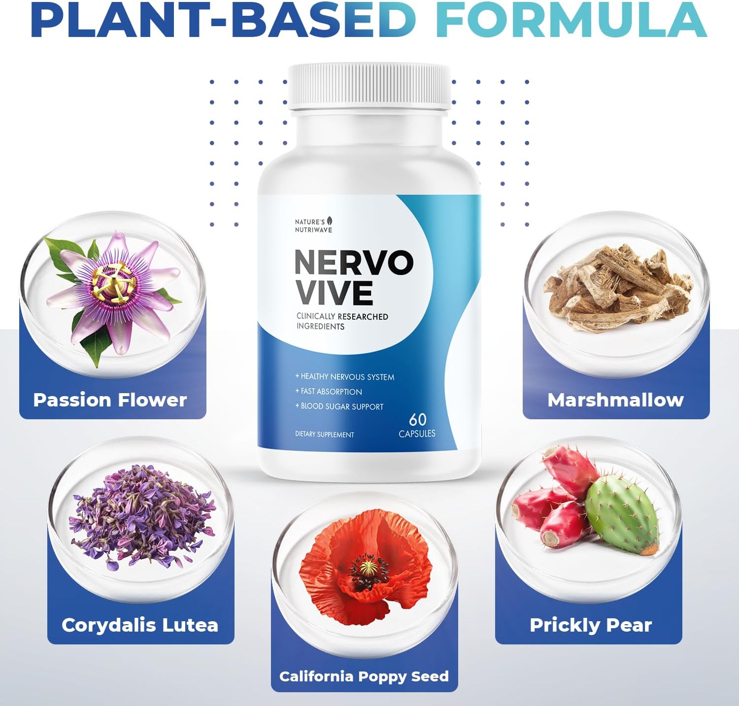60 Capsules of Nature's NutriWave Nervovive Nerve Support Supplement - Advanced Formula for Nerve Health - All Natural Potent Supplement for Overall Wellness - 6 Month Supply
