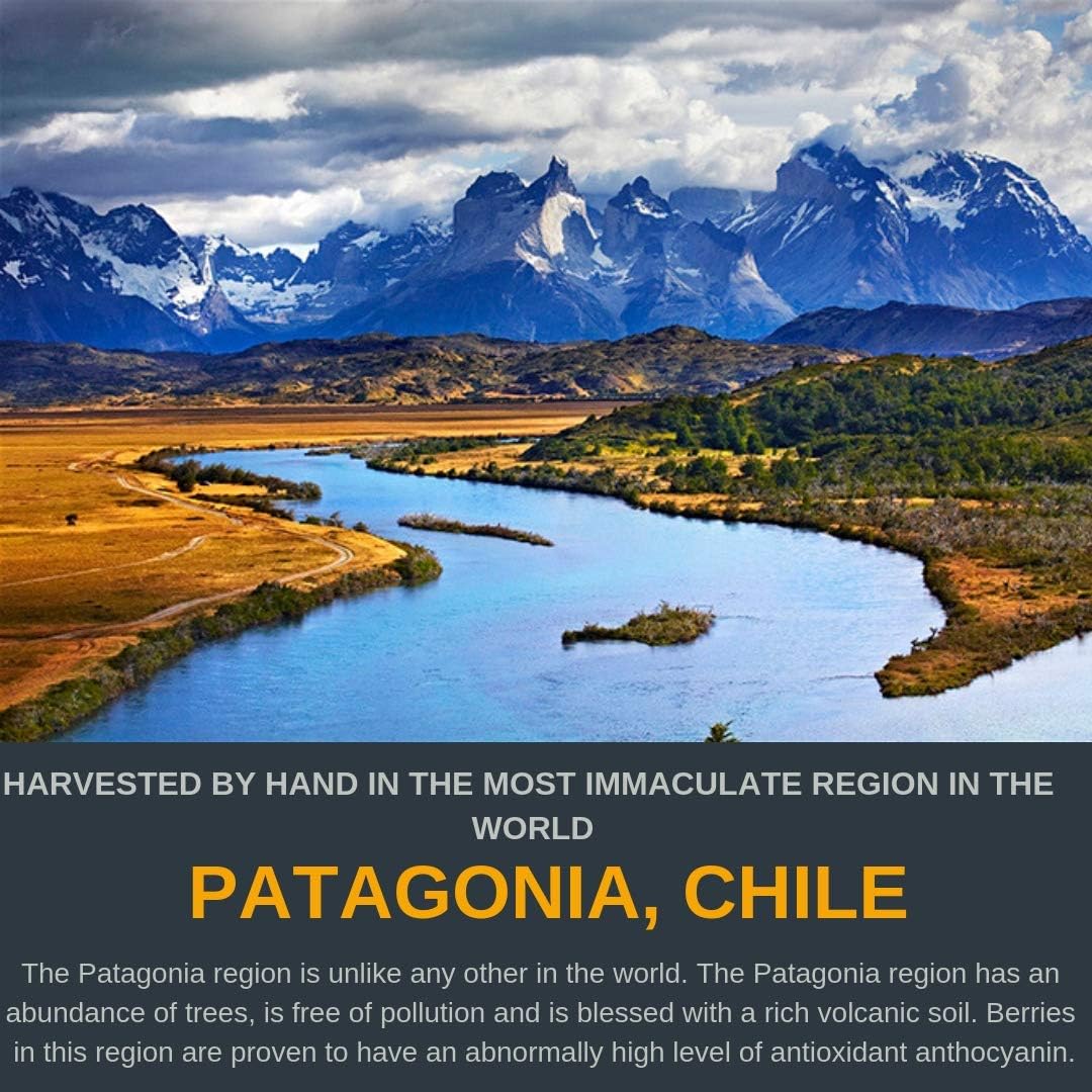 60 Capsules of Noomadic Maqui Berry with 500mg Each - High Antioxidant (ORAC) Support for Immune System, Tear Production, and Dry Eyes - Standardized Extract with 10% Anthocyanins