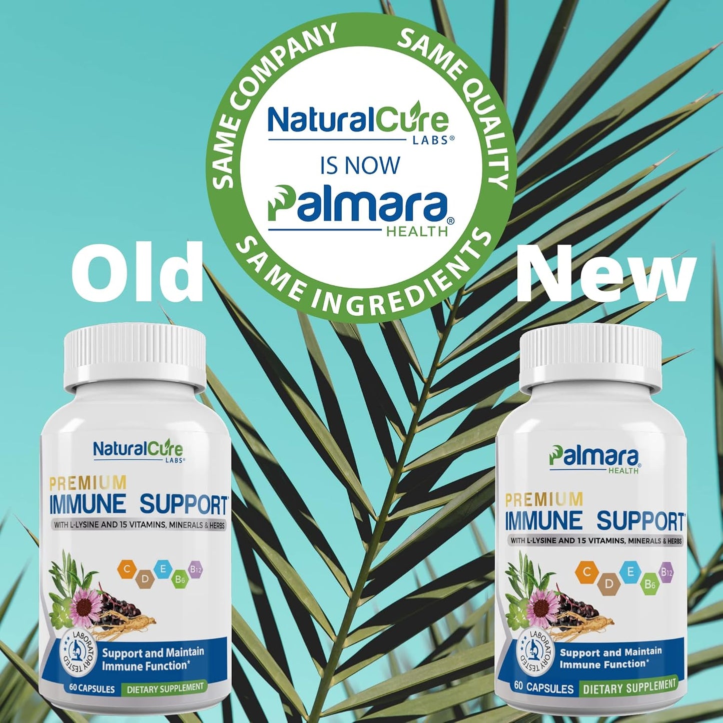 60 Capsules of Palmara Health Premium Immune Support Formula