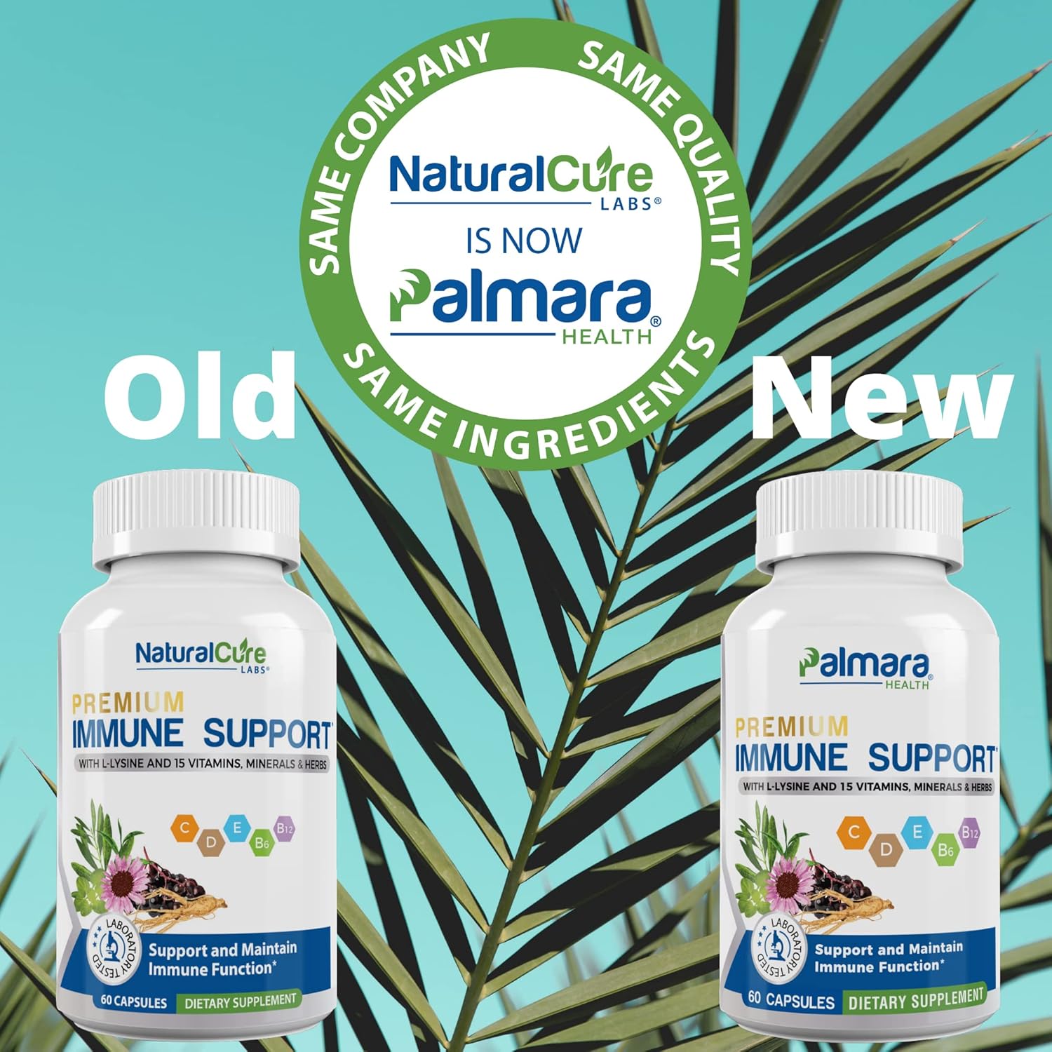 60 Capsules of Palmara Health Premium Immune Support Formula