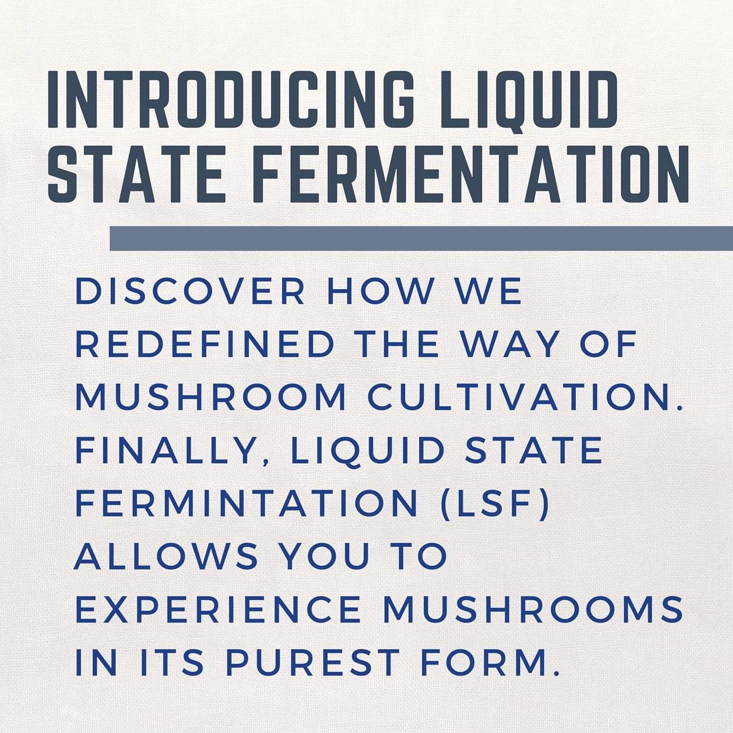 60 Capsules of Primordia Pure Agaricus Mushroom Supplement with Liquid State Fermentation for Stress Relief, Liver, and Immune Support