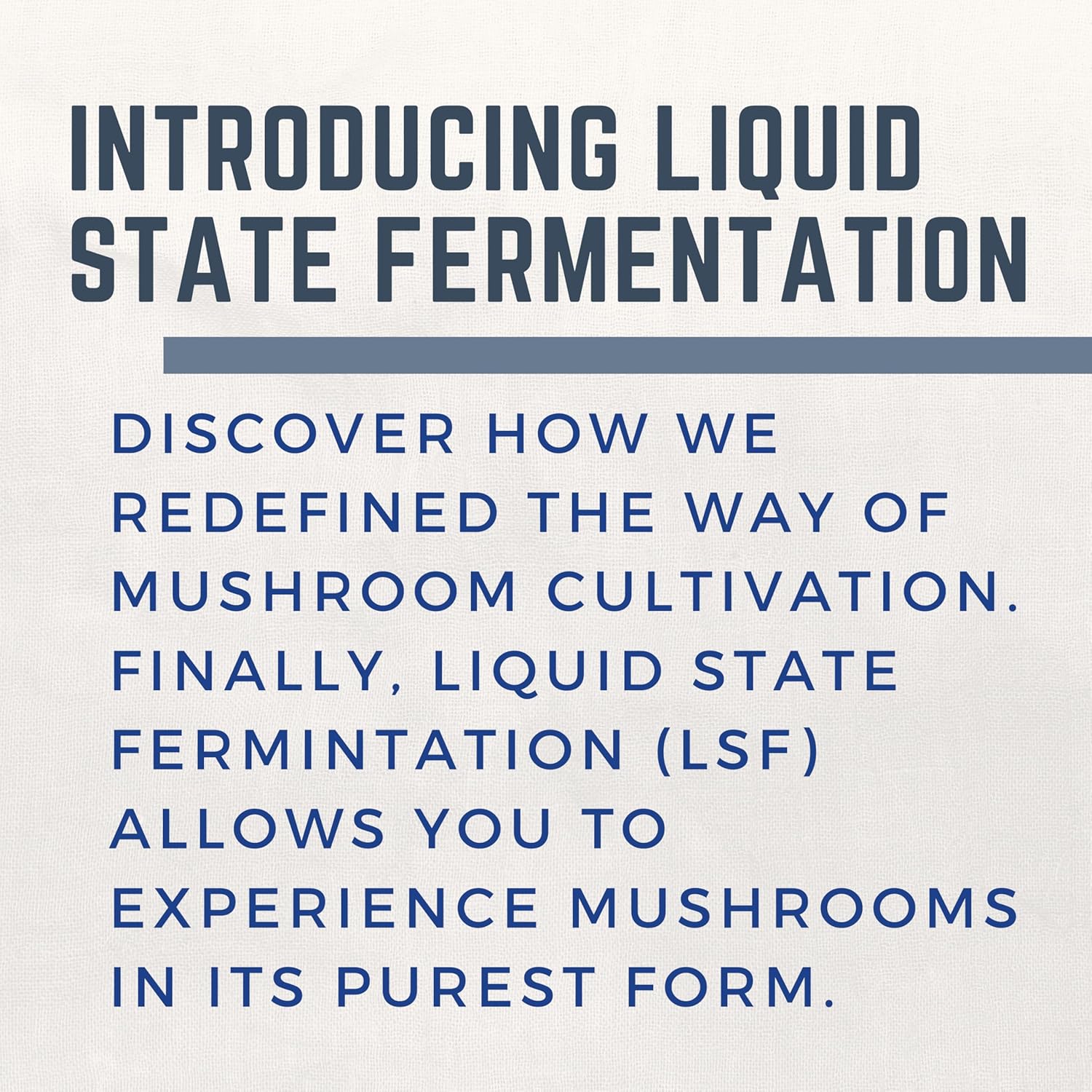 60 Capsules of Primordia Pure Agaricus Mushroom Supplement with Liquid State Fermentation for Stress Relief, Liver, and Immune Support