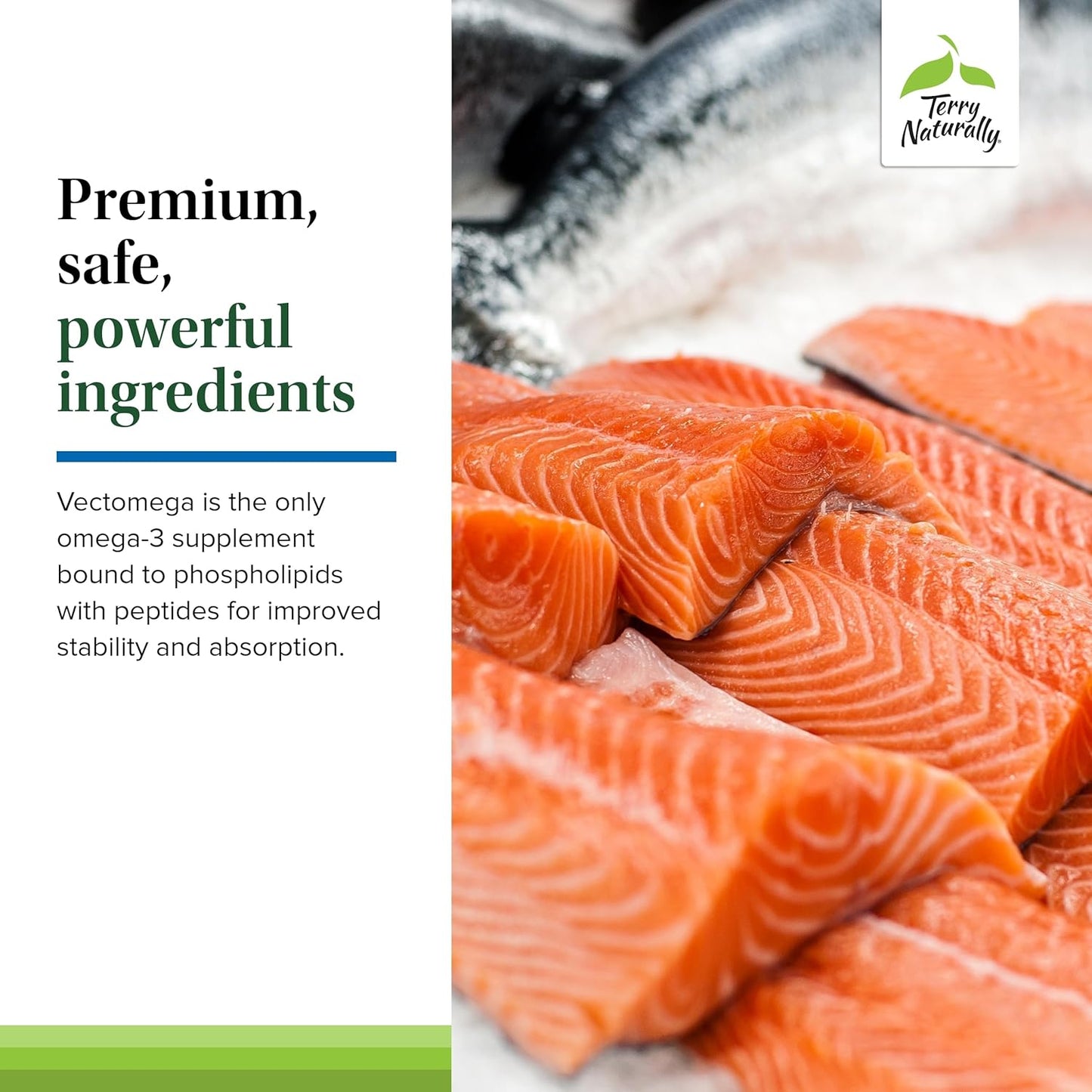 60 Capsules of Terry Naturally Vectomega - Omega-3 from Salmon with EPA & DHA - Non-GMO, Gluten Free - 60 Servings