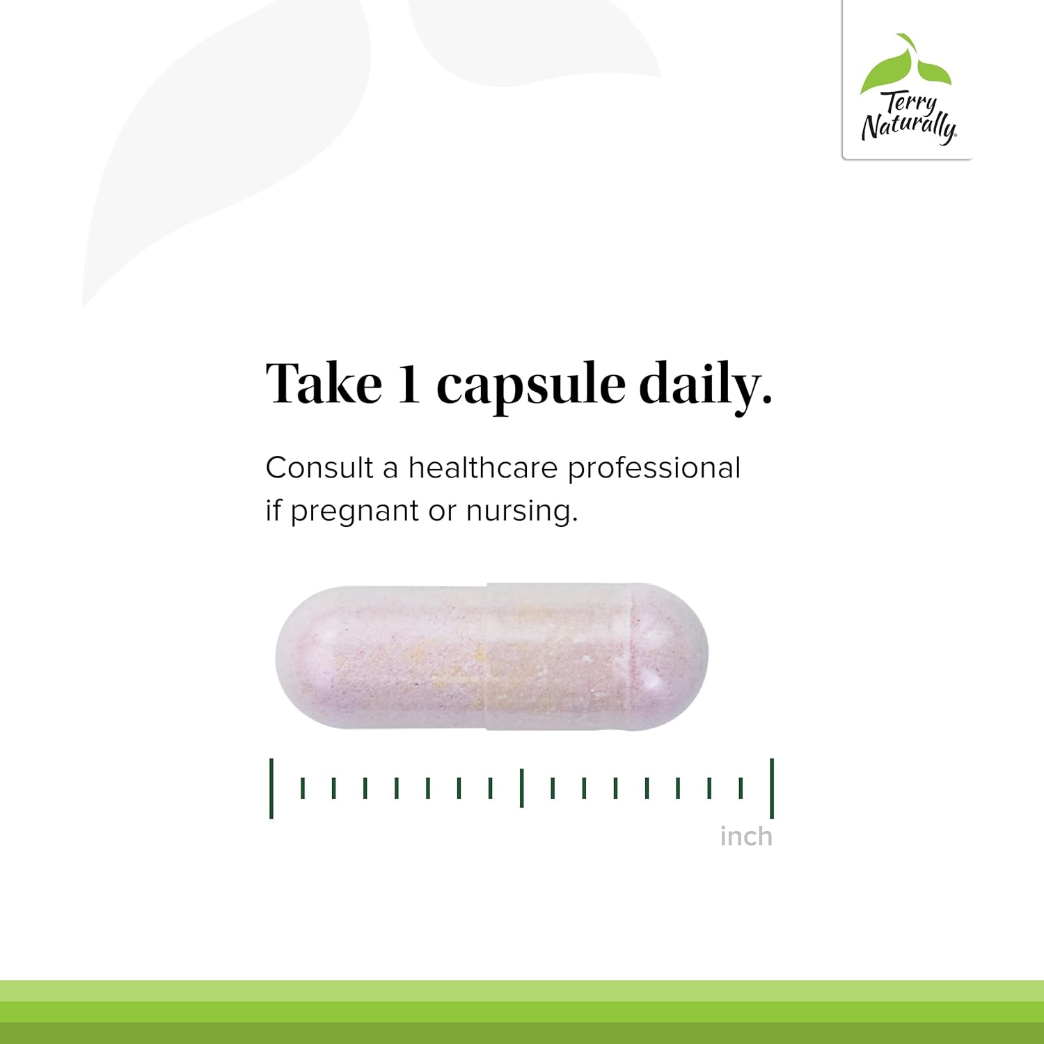 60 Capsules Terry Naturally BioActive Vitamin B - Biologically Active B12, Folate, & B6 - Non-GMO, Vegan, Gluten Free - 60 Servings