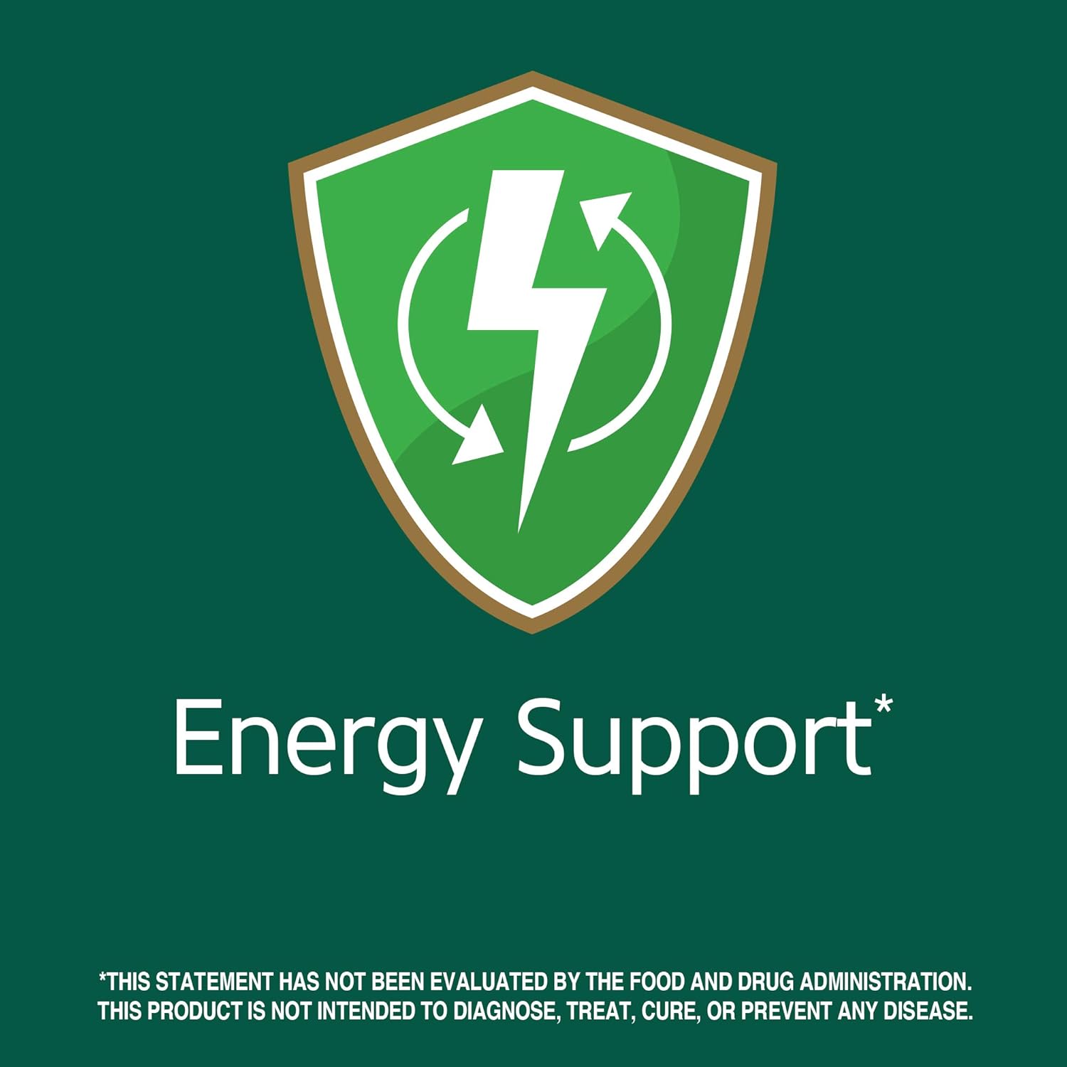 60 Count 21st Century Ginseng Extract Vegetarian Capsules for Energy and Immune Support