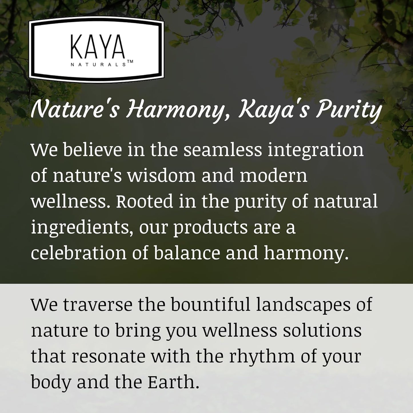 60 Count Kaya Naturals Ashwagandha Bitter Gummies for Natural Stress Relief, Energy & Clarity - Non-GMO, Gluten-Free Chewables