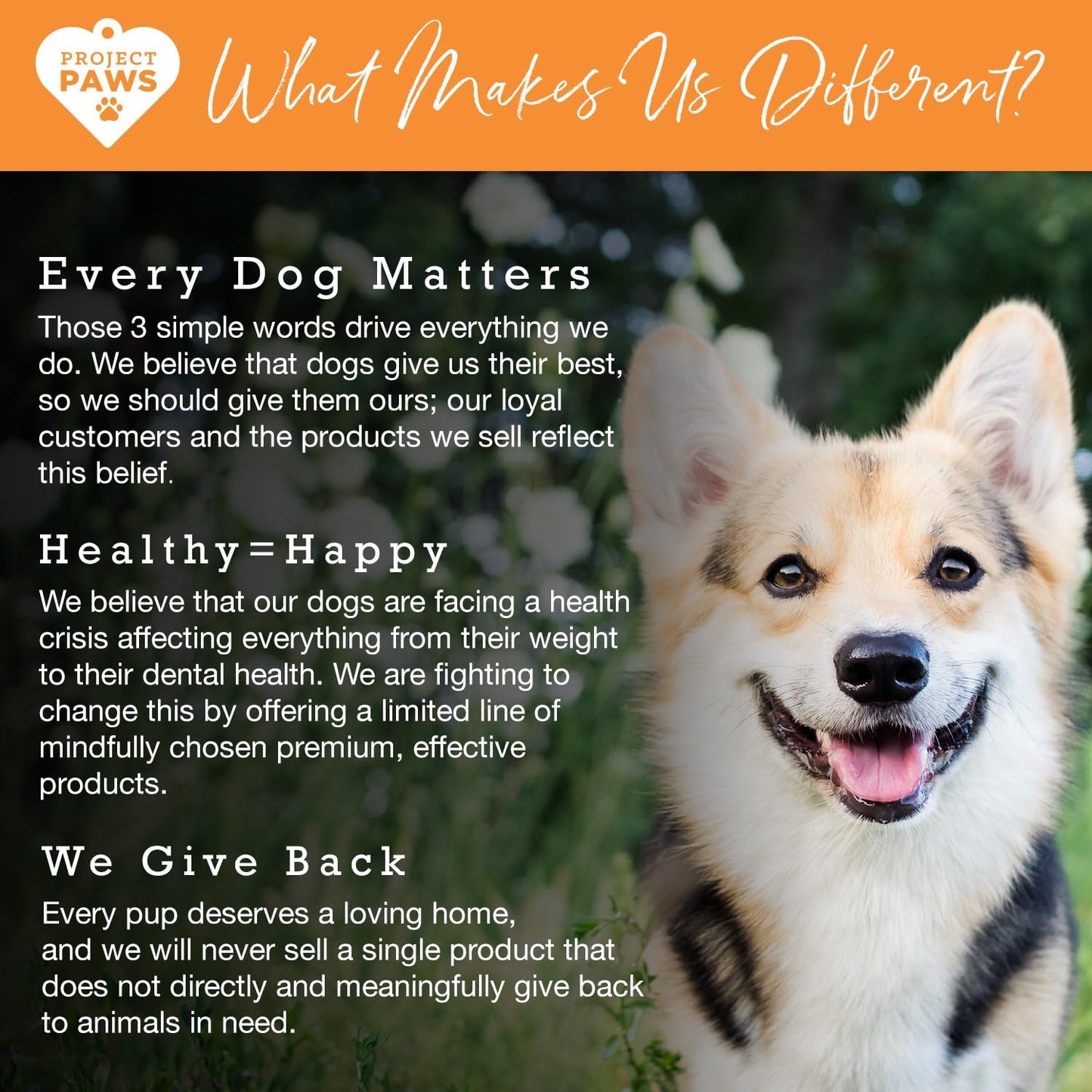 60 Count Project Paws Omega 3-6-9 Select Fish Oil for Dogs with Krill Oil Skin and Coat Supplement