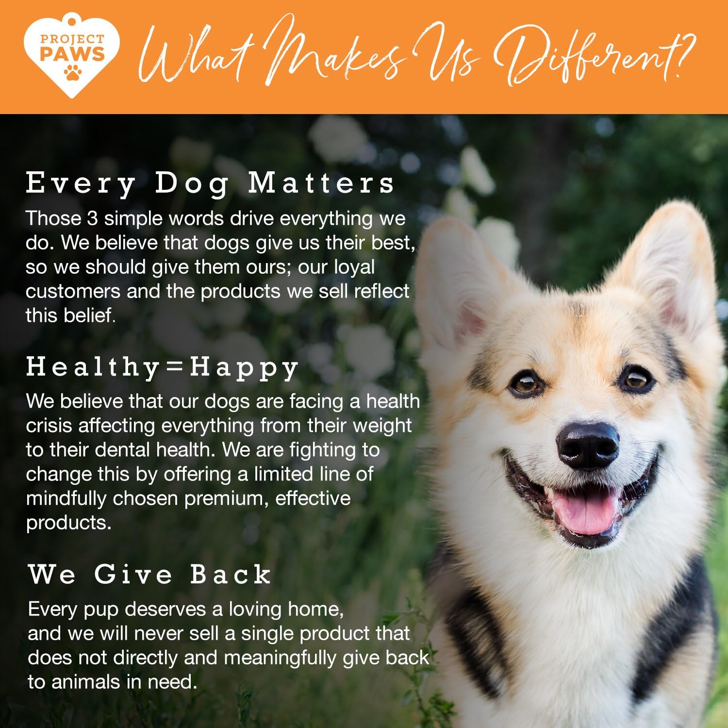 60 Count Project Paws Omega 3-6-9 Select Fish Oil for Dogs with Krill Oil Skin and Coat Supplement