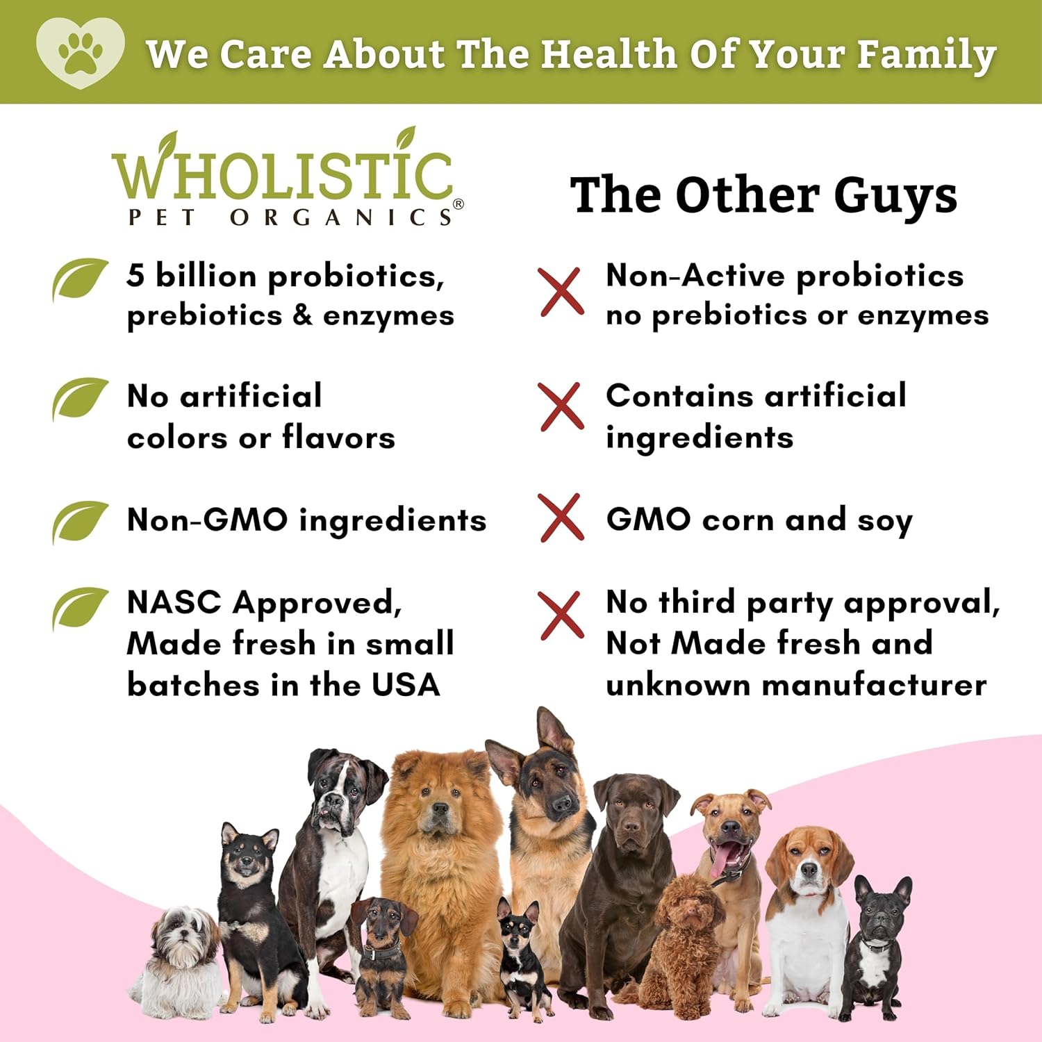60 Count Wholistic Pet Organics Probiotic Chews for Dogs - Digestive Health Support with Dog Probiotics and Digestive Enzymes - Immune Supplement to Prevent Digestive Problems