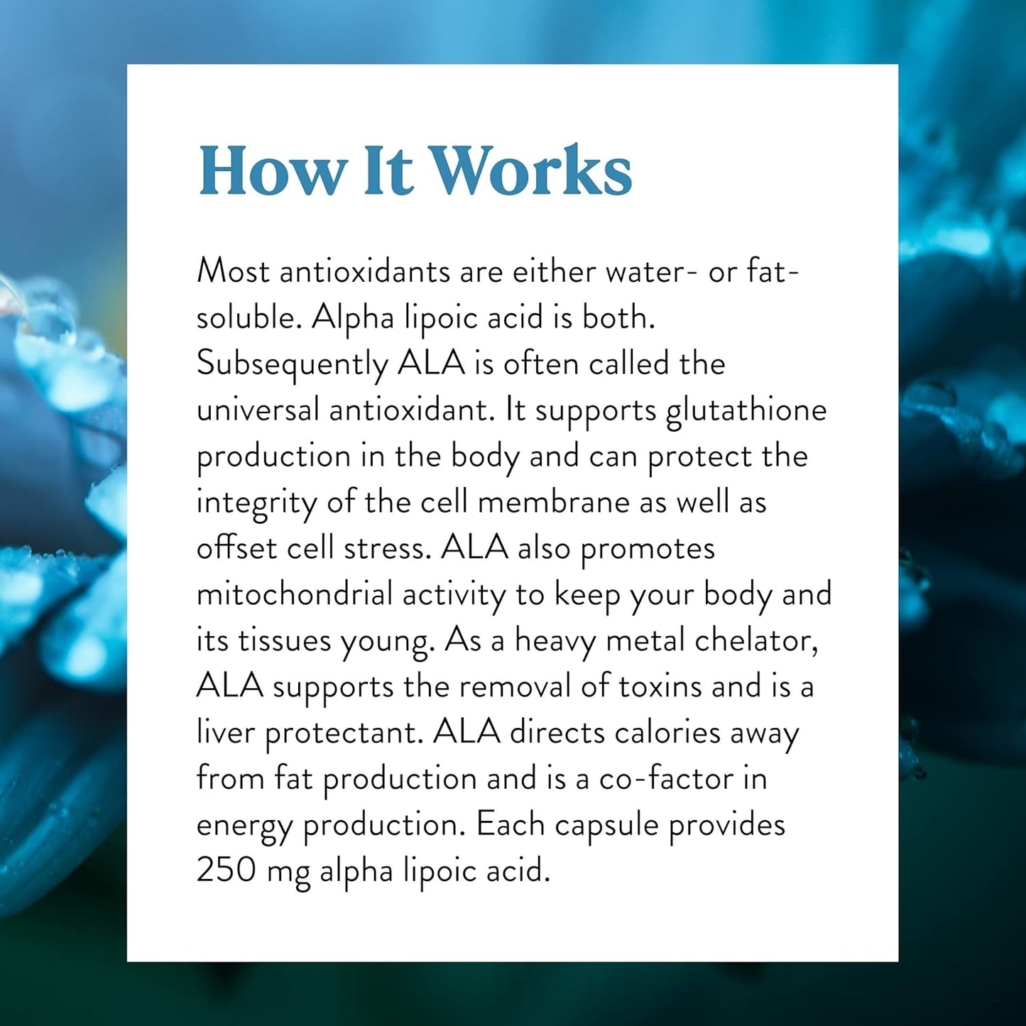 60 Kosher Alpha Lipoic Acid Capsules by Nature's Sunshine
