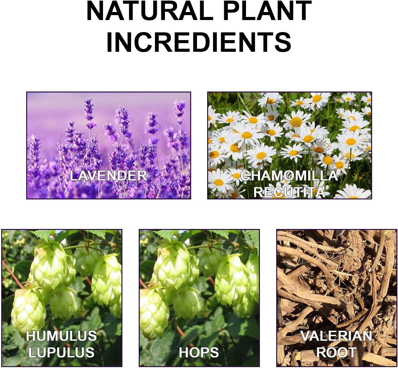 60 Pack Sleep Patches for Adults - Extra Strength Natural Ingredients for Deep Sleep - Skin-Friendly and Long-Lasting Sweet Dreams for Men and Women