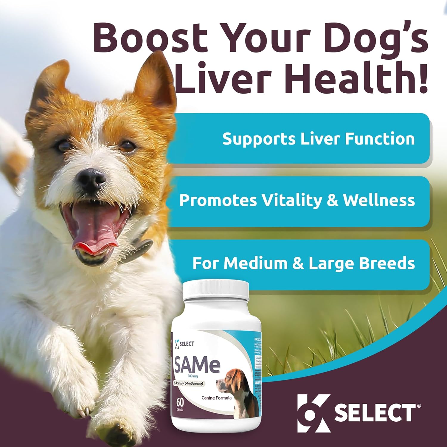 60 Tablets of K9 Select SAM-e for Medium and Large Adult Dogs: 200mg S-Adenosyl L-Methionine for Cognitive and Liver Support, Nutritional Revitalisation