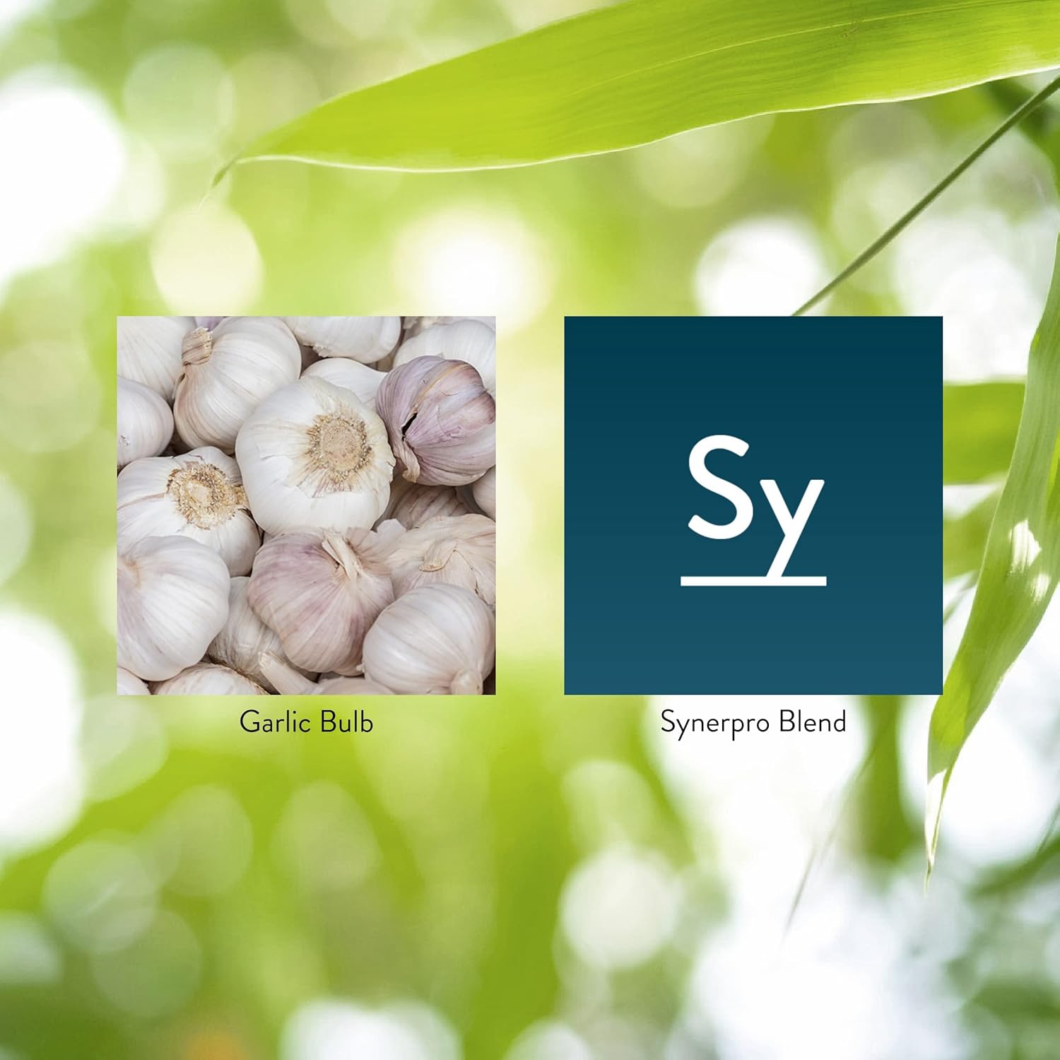 60 Tablets of Nature's Sunshine High Potency Garlic with Immune Support and Odor-Controlled Coating