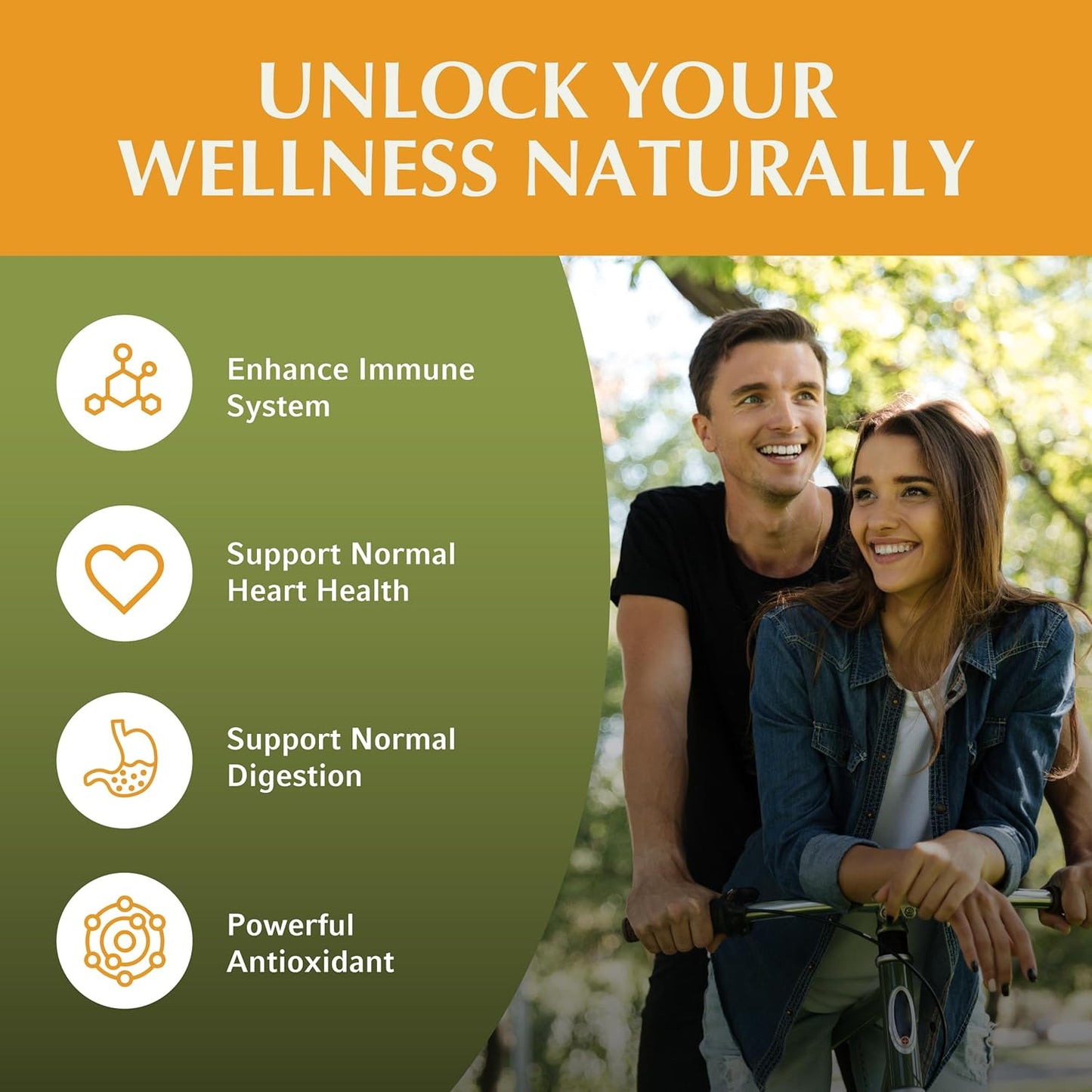 60 Vegan Amla Capsules by Jiva Botanicals - Amalaki Powder Supplement for Vitality - Indian Gooseberry Support