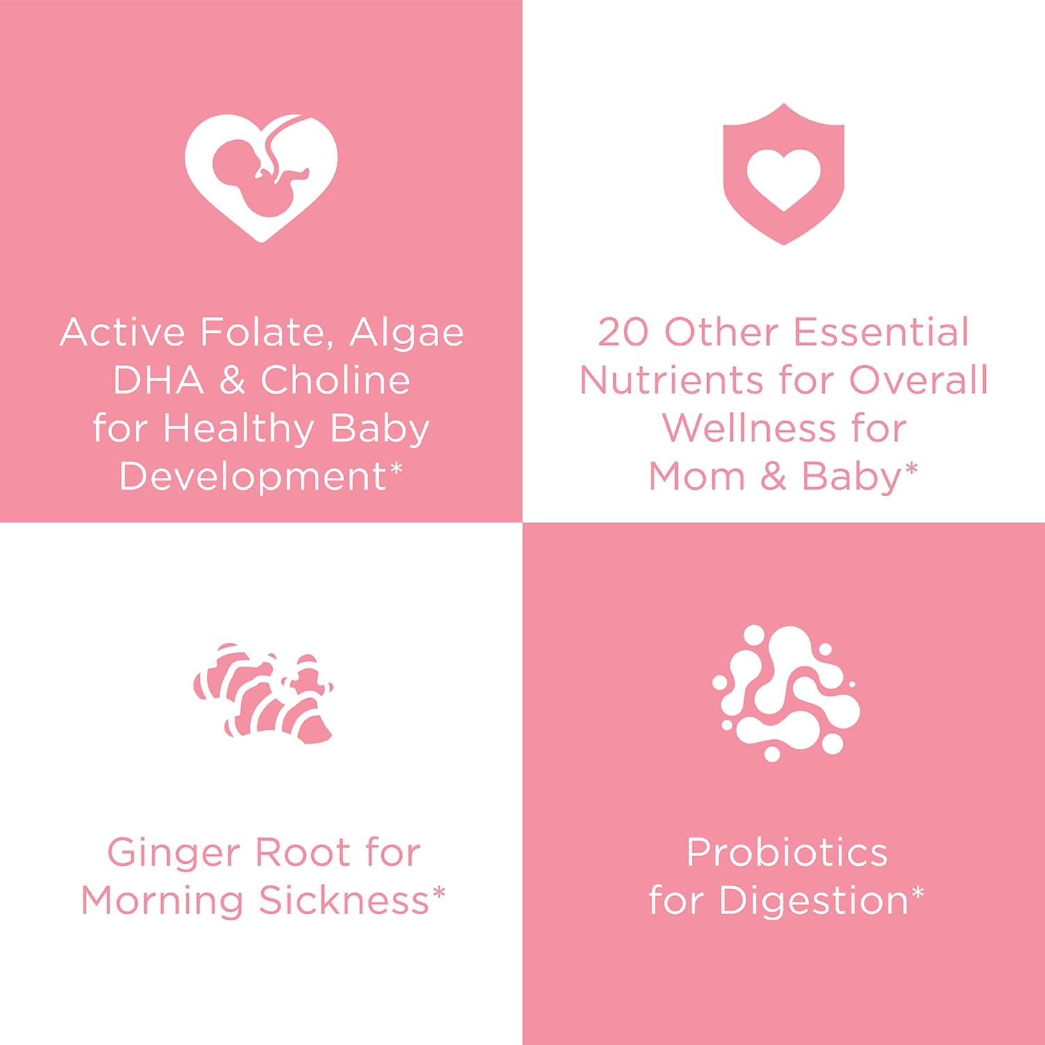 60 Vegan Capsules Hyland's Easy Morning Prenatal Multivitamin with Folate, Choline, Zinc, Ginger Root, Prebiotics, Algae DHA - Digestive Health & Morning Sickness Relief