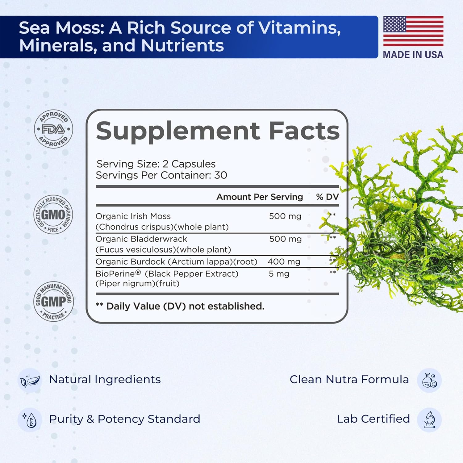 60 Vegan Capsules of TIVA Nutraceutics Irish Sea Moss with Bladderwrack, Burdock Root & BioPerine for Immune Support, Energy Boost, and Gut Health
