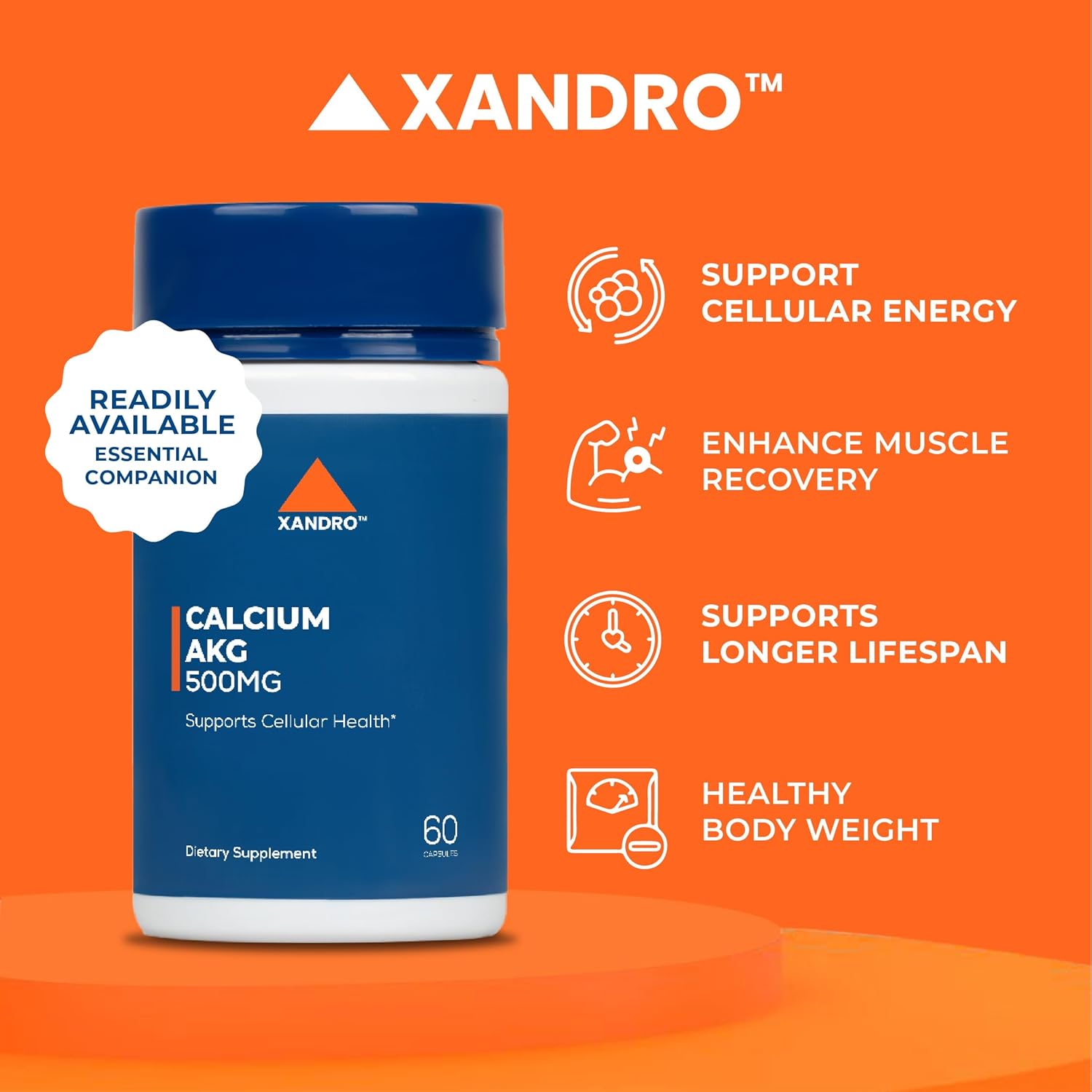 60 Vegan Capsules of XANDRO Calcium AKG 500 mg for Optimal Cellular Health