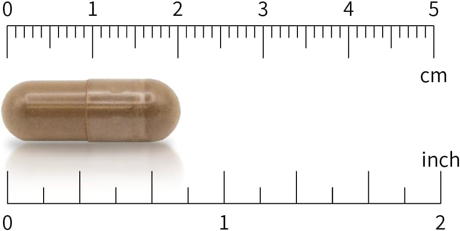 600 mg Trans-Resveratrol (98% Pure) Capsules - 120 Vegan, 4-Month Supply