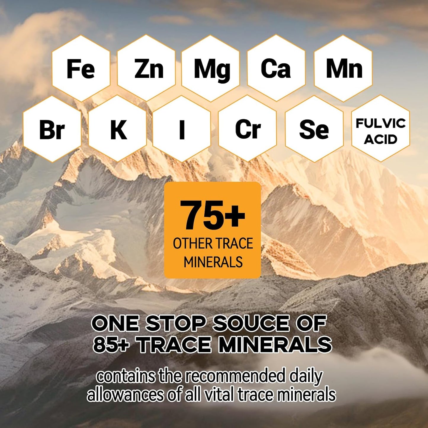 600mg Himalayan Organic Shilajit Resin Supplement with 85+ Trace Minerals for Men - Golden Grade Pure Shilajit Resin