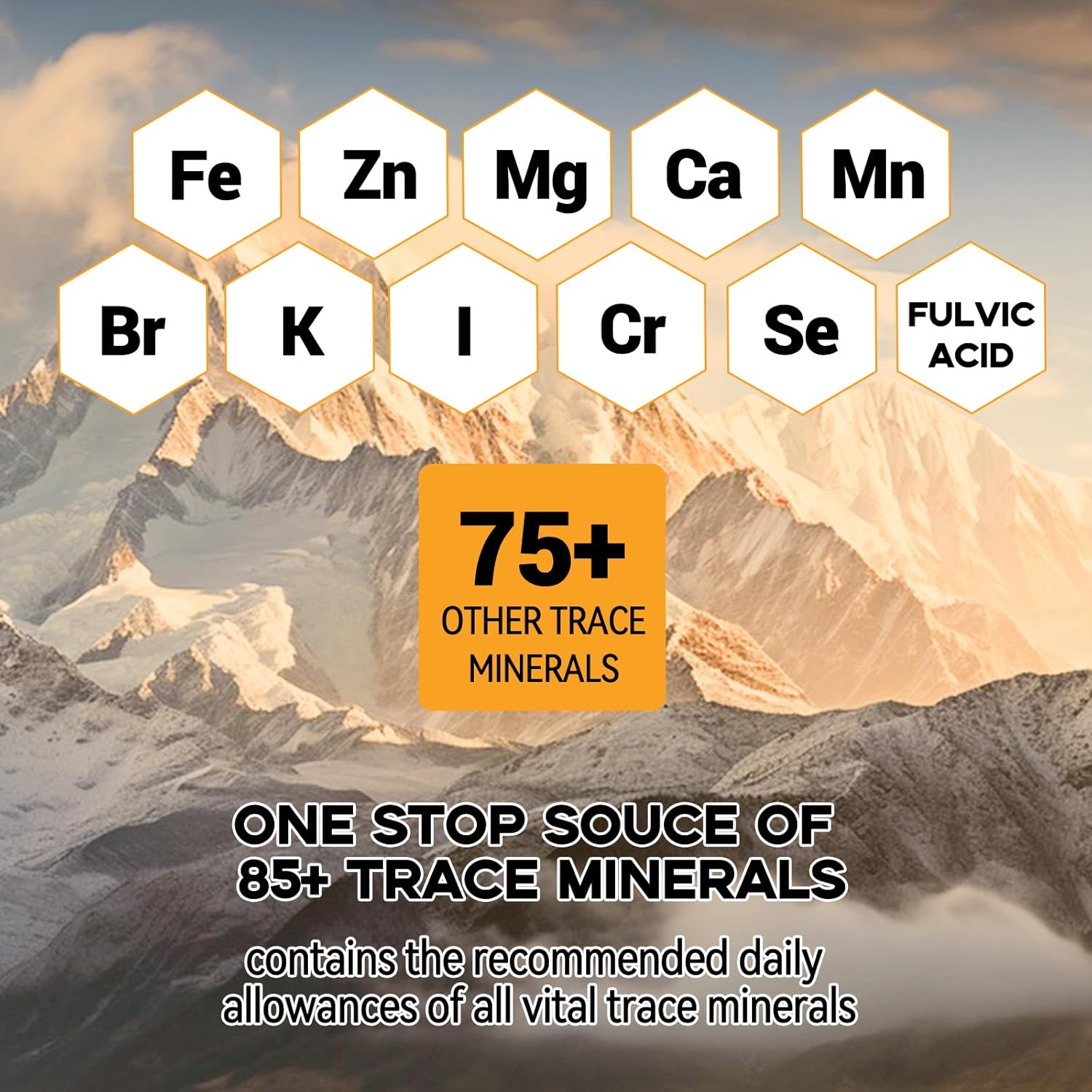 600mg Himalayan Organic Shilajit Resin Supplement with 85+ Trace Minerals for Men - Golden Grade Pure Shilajit Resin