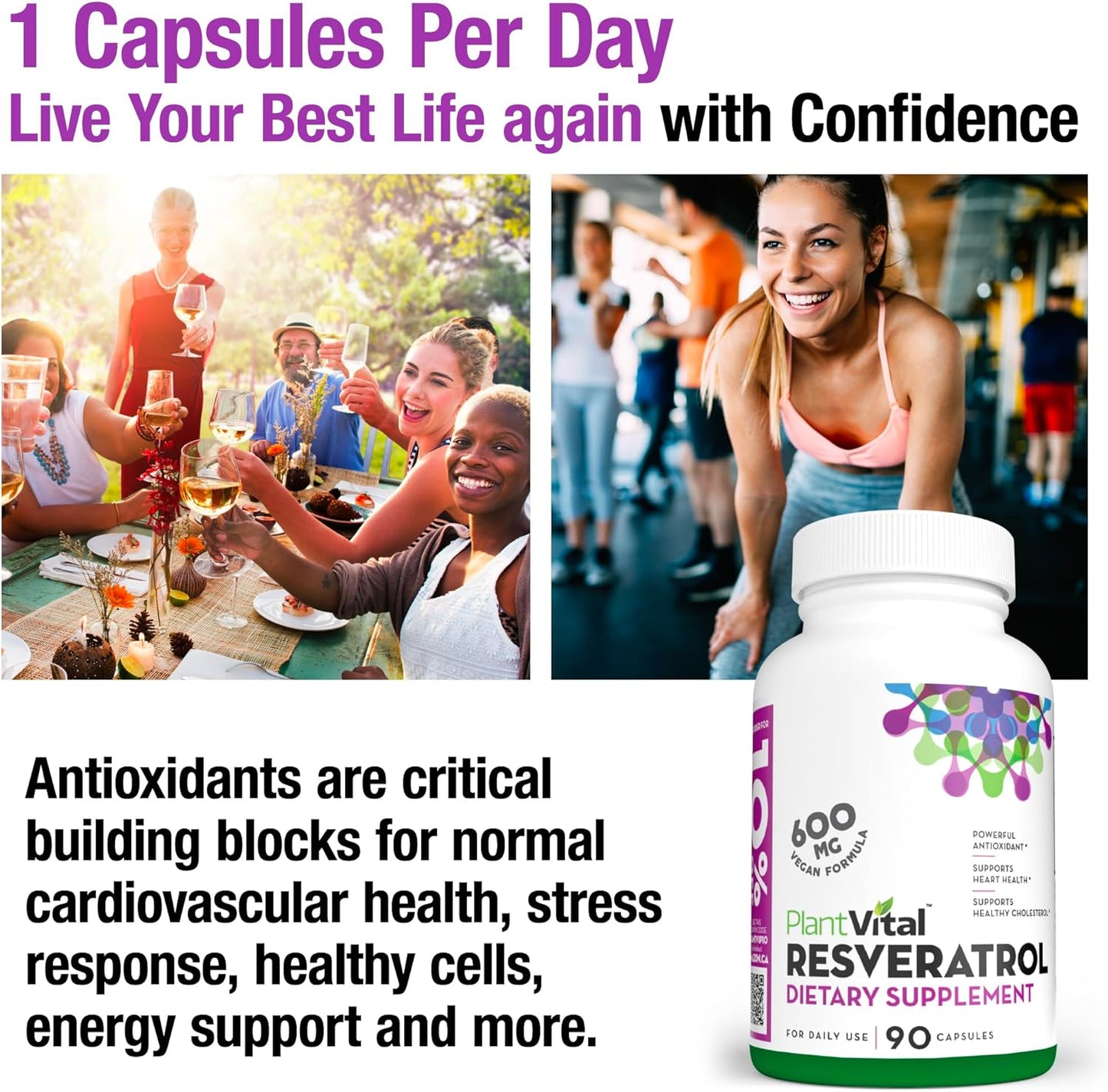 600mg Plantvital Resveratrol Capsules - 90 Vegan Trans Resveratrol Supplement - High Purity Antioxidant - Non-GMO, Gluten-Free