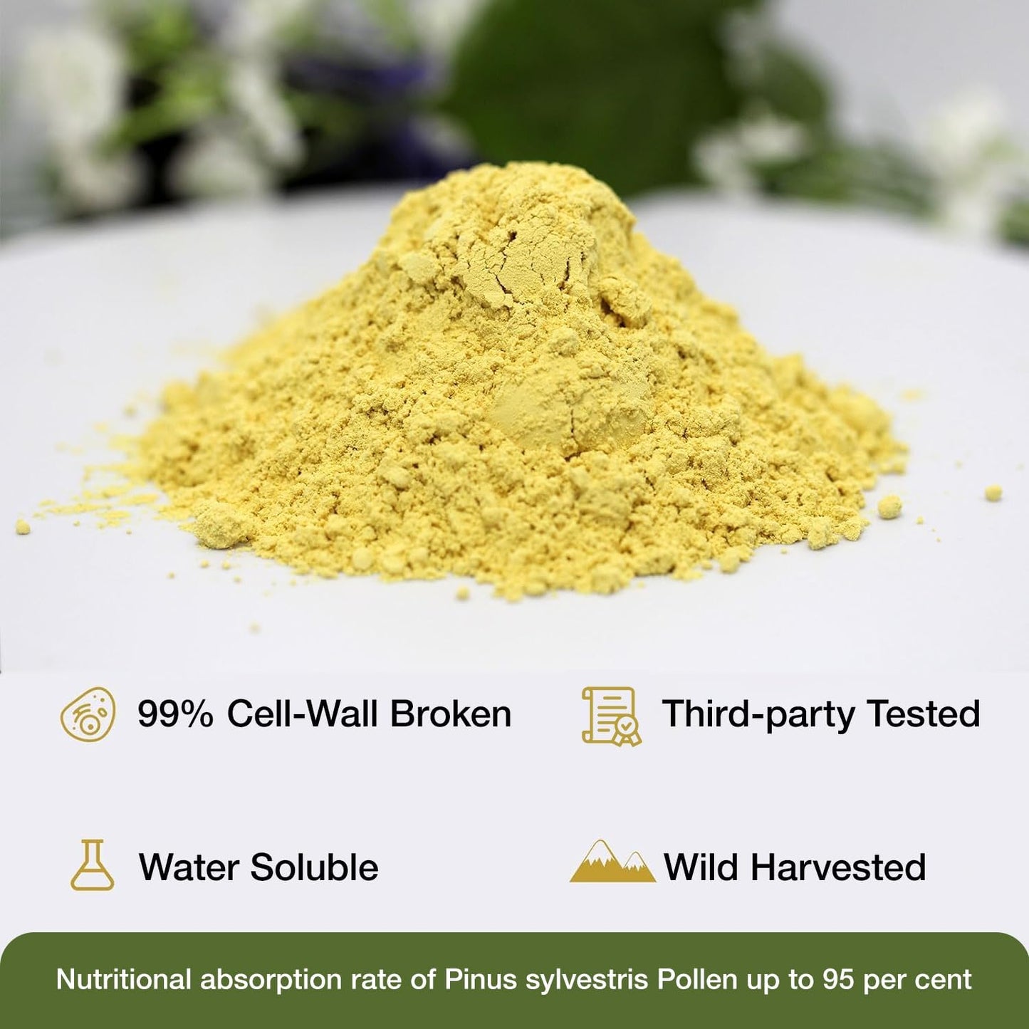 6oz Wild Harvested Pine Pollen Powder - Pinus Tabuliformis, 99% Cracked Cell Wall for Eco-Friendly Taste