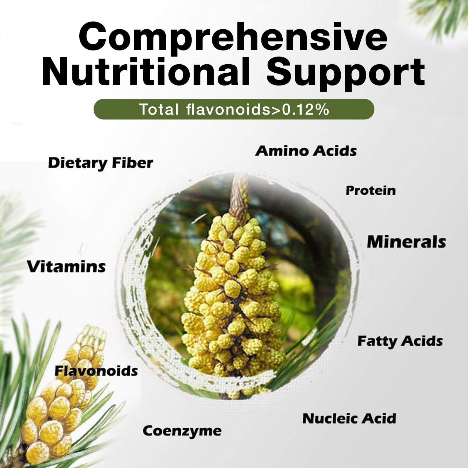 6oz Wild Harvested Pine Pollen Powder - Pinus Tabuliformis, 99% Cracked Cell Wall for Eco-Friendly Taste