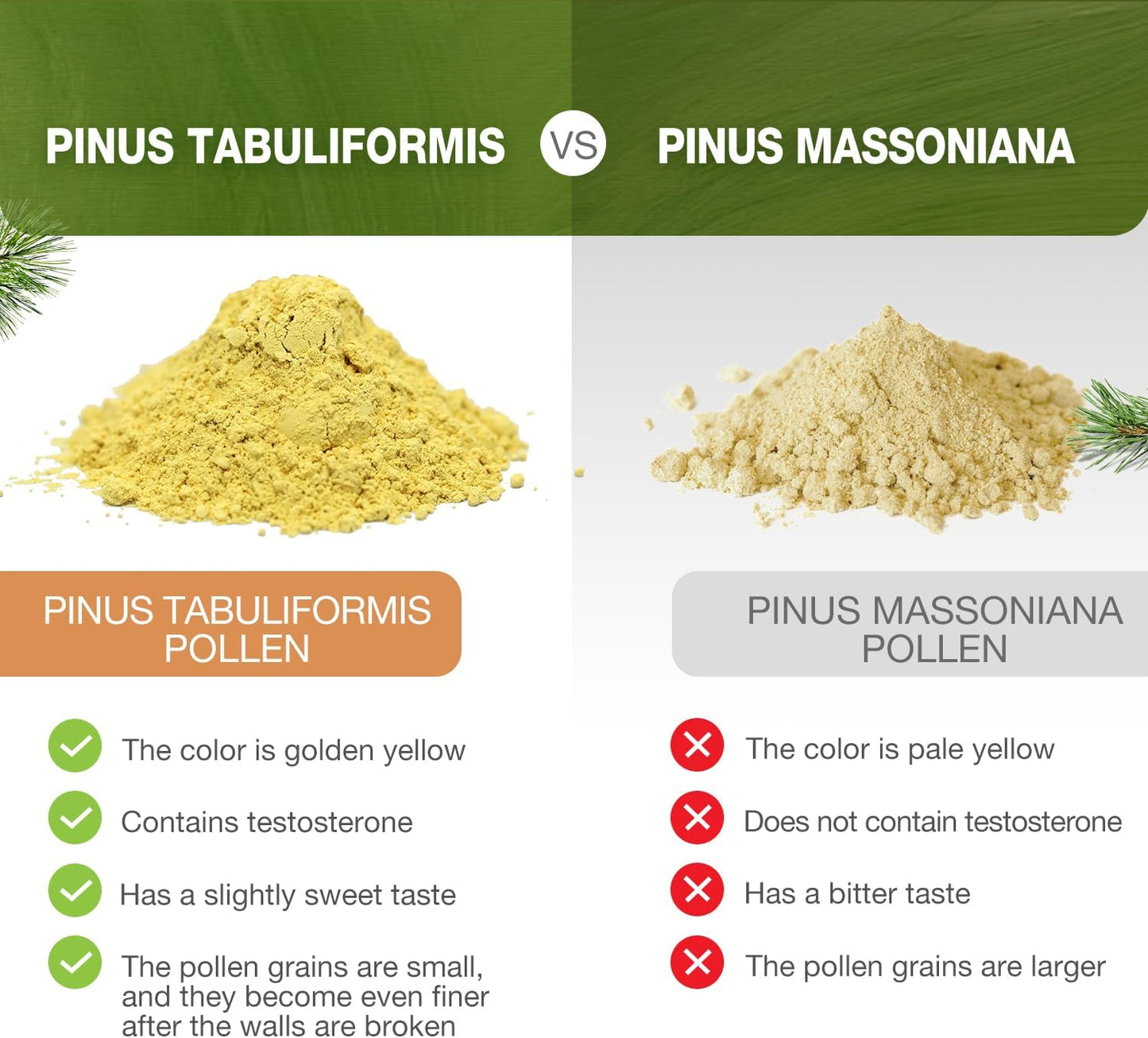 6oz Wild Harvested Pine Pollen Powder - Pinus Tabuliformis, 99% Cracked Cell Wall for Eco-Friendly Taste