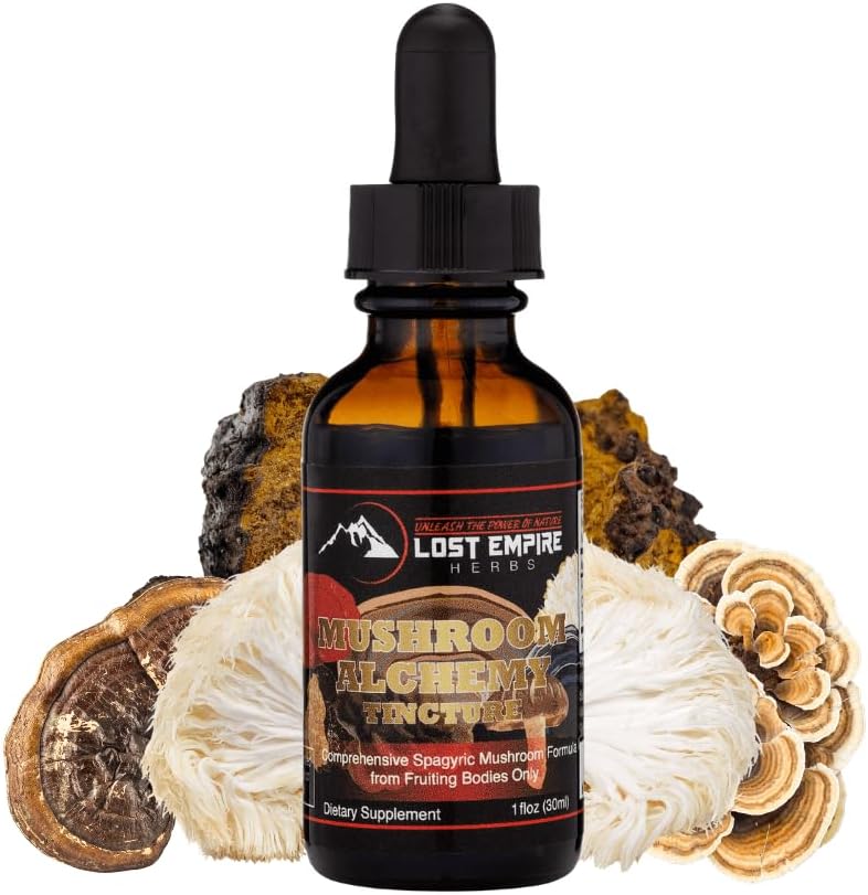7 Medicinal Mushroom Spagyric Tincture Blend - Reishi, Turkey Tail, Maitake, Shiitake, Lion's Mane, Artist Conk, Chaga - 1 fl oz