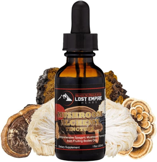 7 Medicinal Mushroom Spagyric Tincture Blend - Reishi, Turkey Tail, Maitake, Shiitake, Lion's Mane, Artist Conk, Chaga - 1 fl oz