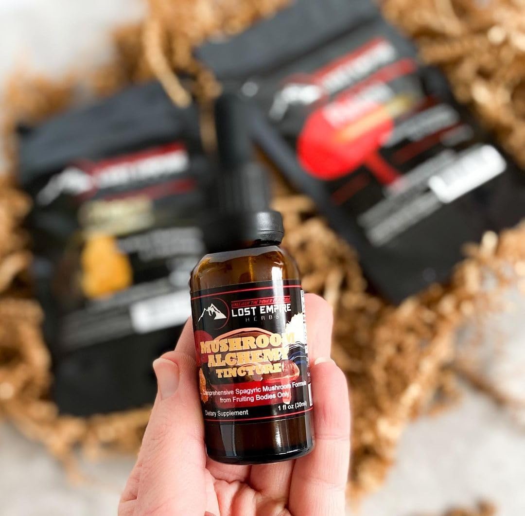 7 Medicinal Mushroom Spagyric Tincture Blend - Reishi, Turkey Tail, Maitake, Shiitake, Lion's Mane, Artist Conk, Chaga - 1 fl oz