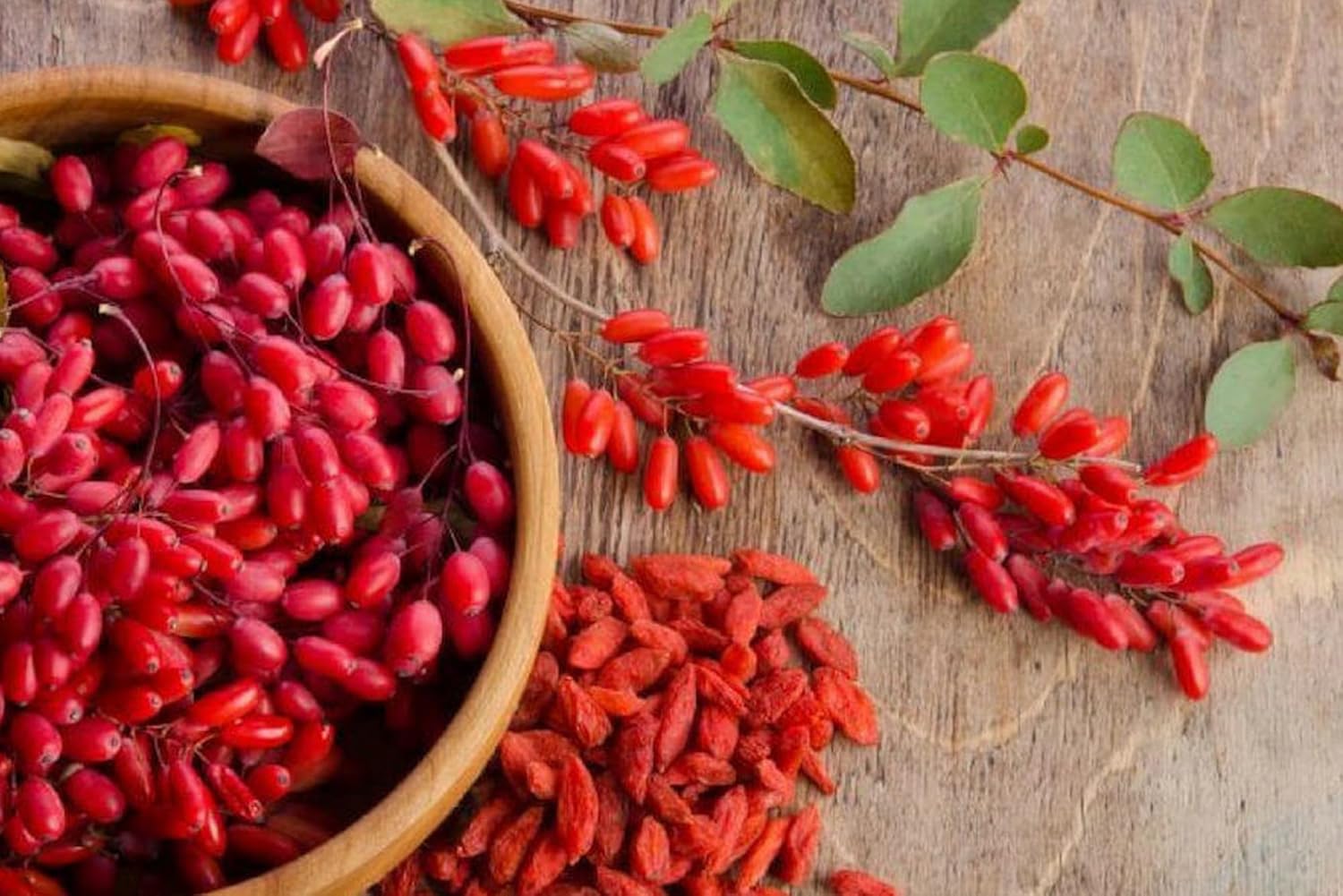 730 Capsules of Pure Berberine Supplement - No Magnesium or Rice Fillers - Lab Verified - Original Ingredients