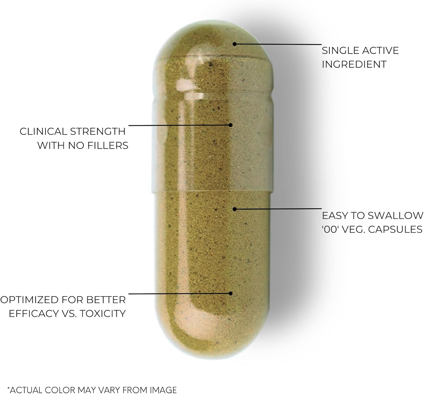 750mg Bacopa Monnieri Capsules - 40% Bacosides - Herbal Supplement - 60 Capsules by FOLIUS LABS