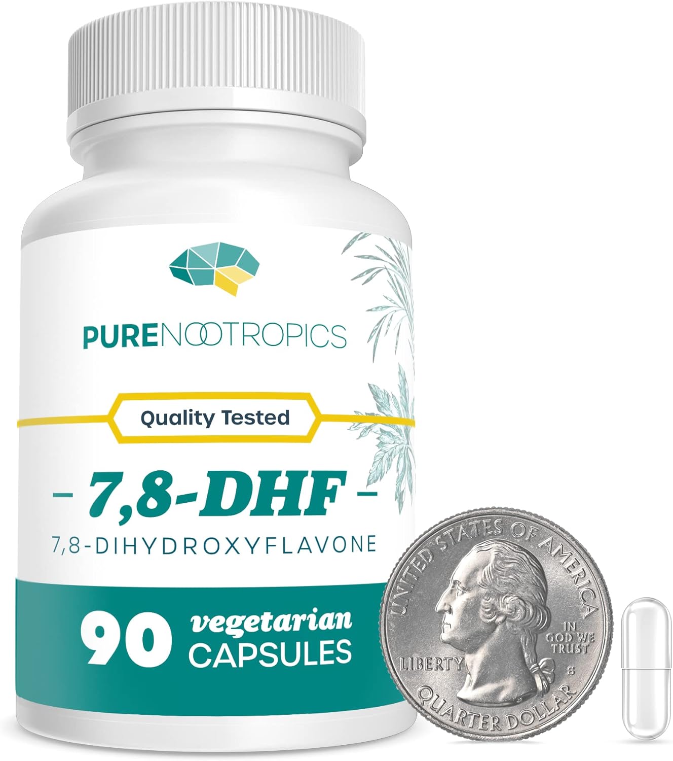 7,8-DHF Nootropic Supplement Capsules | 25 mg | 90 Veg Caps | Brain Support Vegan Pills