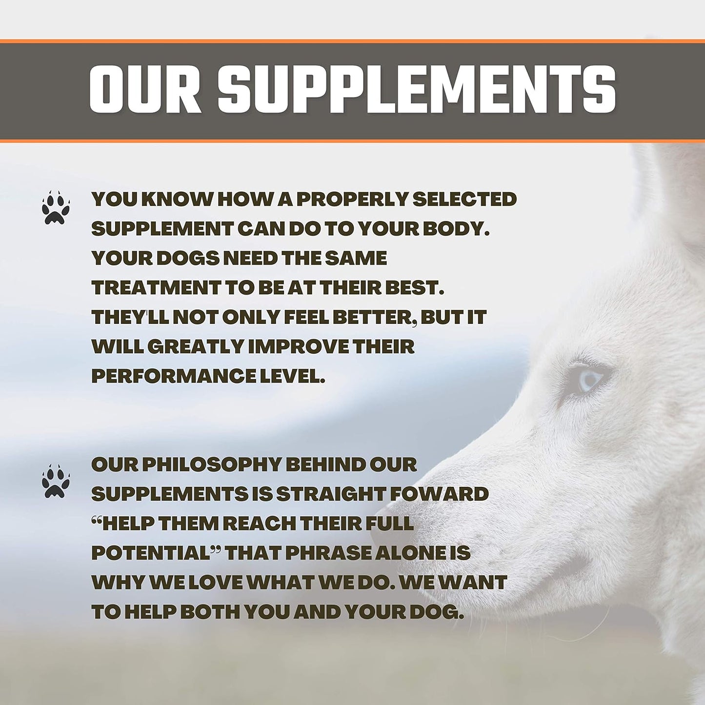 8-in-1 Multivitamin for Dogs with Probiotics, Vitamin for Skin & Coat, Immune Health - Krill & CLA 80 Soft Gels