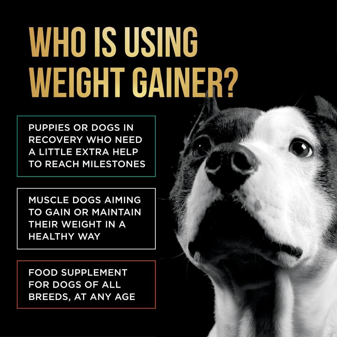 8 lbs Dog Weight Gainer Supplement for Muscle Building and Weight Gain - High Calorie Protein Powder for Canine Nutrition