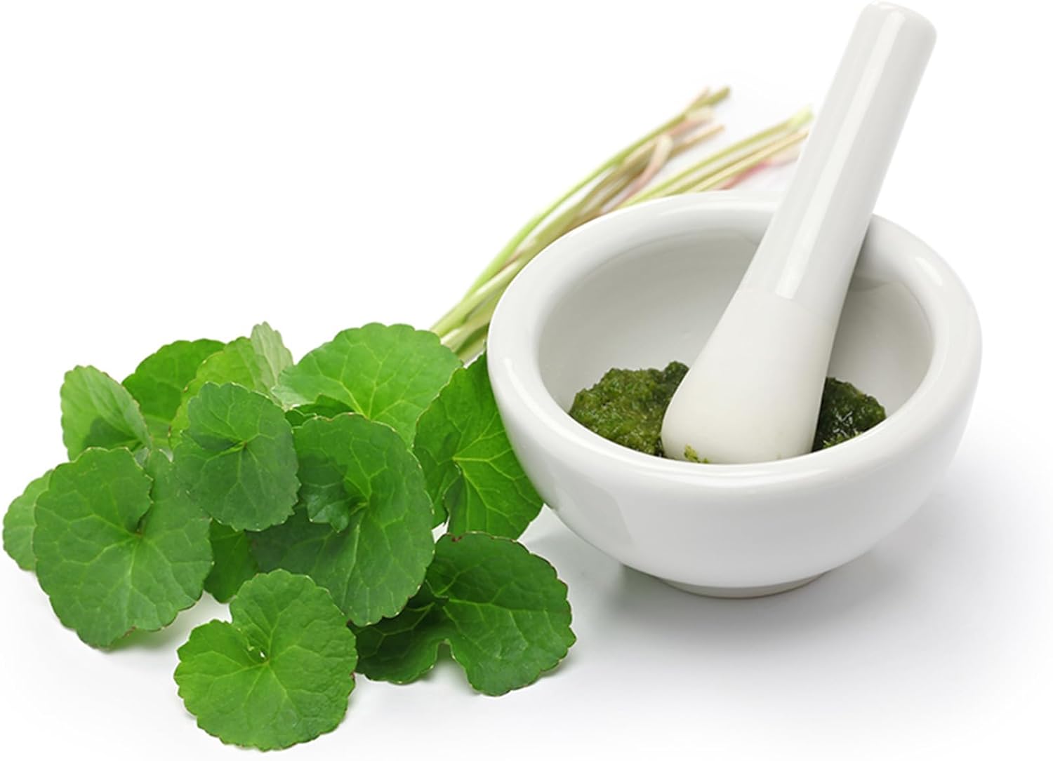 8 oz Organic Gotu Kola Powder for Memory Enhancement | Ayurvedic Herb for Healthy Nervous System | Vegan, Non GMO | Healthy Hair and Skin | Centella asiatica