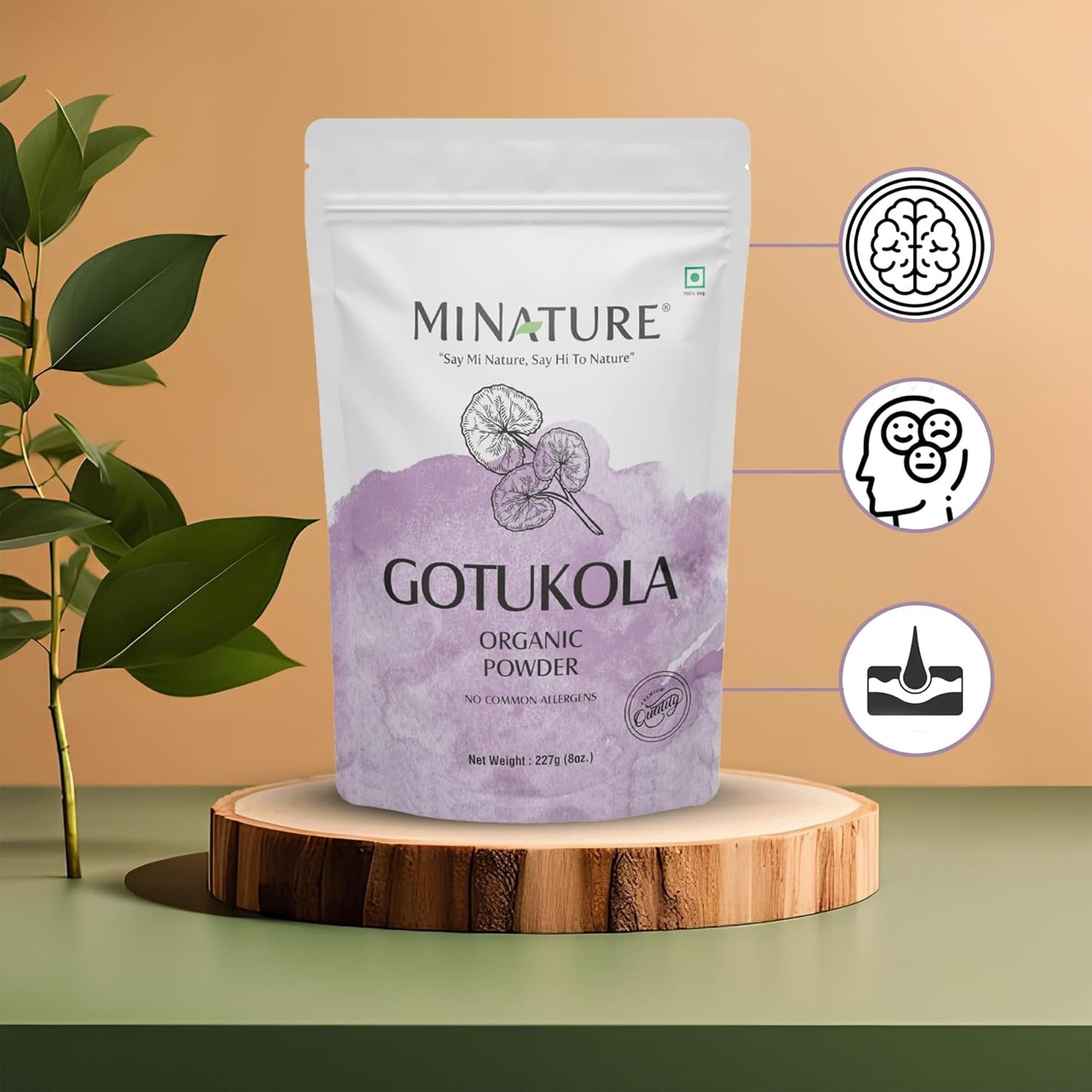 8 oz Organic Gotu Kola Powder for Memory Enhancement | Ayurvedic Herb for Healthy Nervous System | Vegan, Non GMO | Healthy Hair and Skin | Centella asiatica