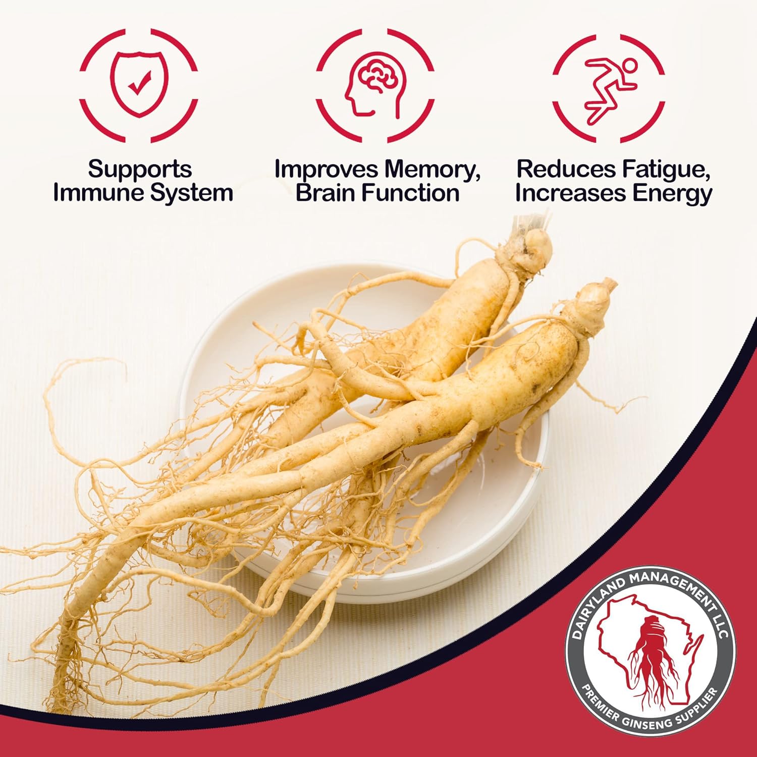 8 oz Pack of Non-GMO Wisconsin Ginseng Root Powder - Dairyland Premium American Ginseng Powder for Smoothies, Baking, Tea - Gluten Free Herbal Supplement