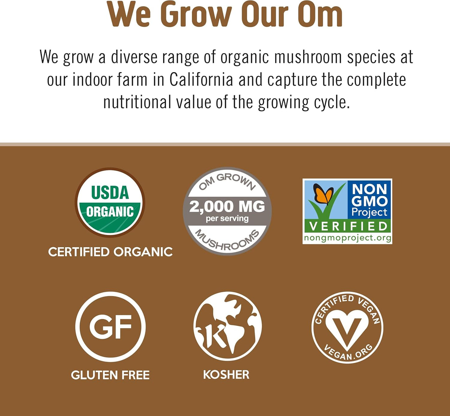 8.47 oz OM Mushroom Superfood Coffee Latte Blend Powder - Lion's Mane, Cordyceps, Reishi, Chaga - Energy & Mental Clarity Support - 30 Servings