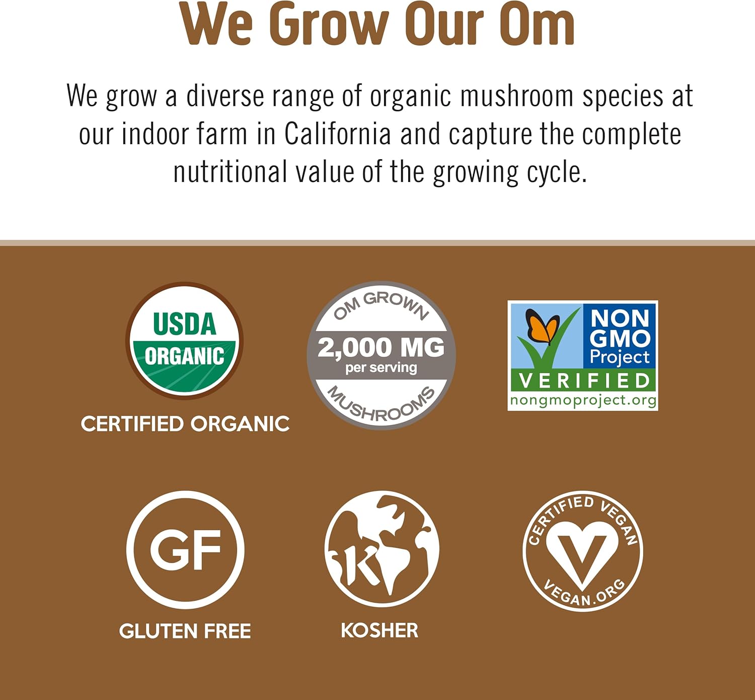 8.47 oz OM Mushroom Superfood Coffee Latte Blend Powder - Lion's Mane, Cordyceps, Reishi, Chaga - Energy & Mental Clarity Support - 30 Servings