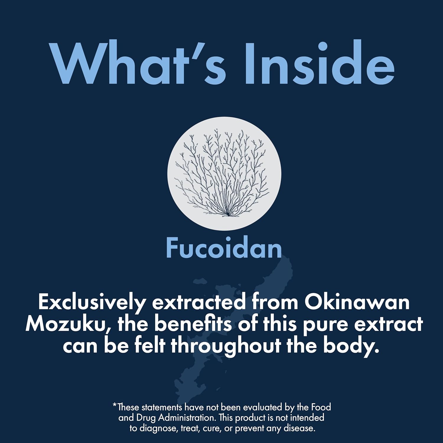 85%+ Pure Fucoidan Supplement from Okinawa's Blue Zone - Lab Tested, Non-GMO, Gluten Free - 30 Day Supply