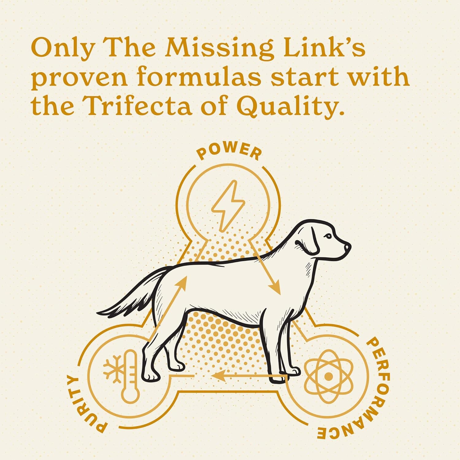 8oz Bag of The Missing Link Skin & Coat + Probiotics Supplement for Dogs - Superfood Powder Promotes Healthy Skin, Coat, & Hair Growth