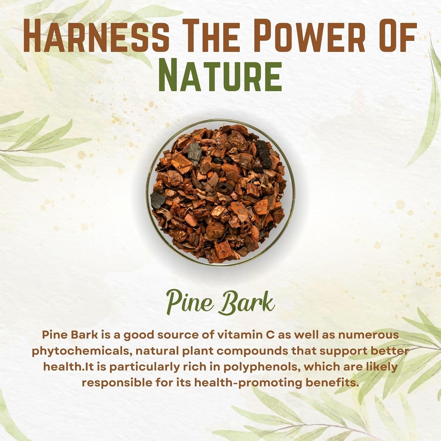 8oz Pine Bark Extract Powder | Standardized 95% Proanthocyanidins | Pure Non-GMO Vegan Supplement