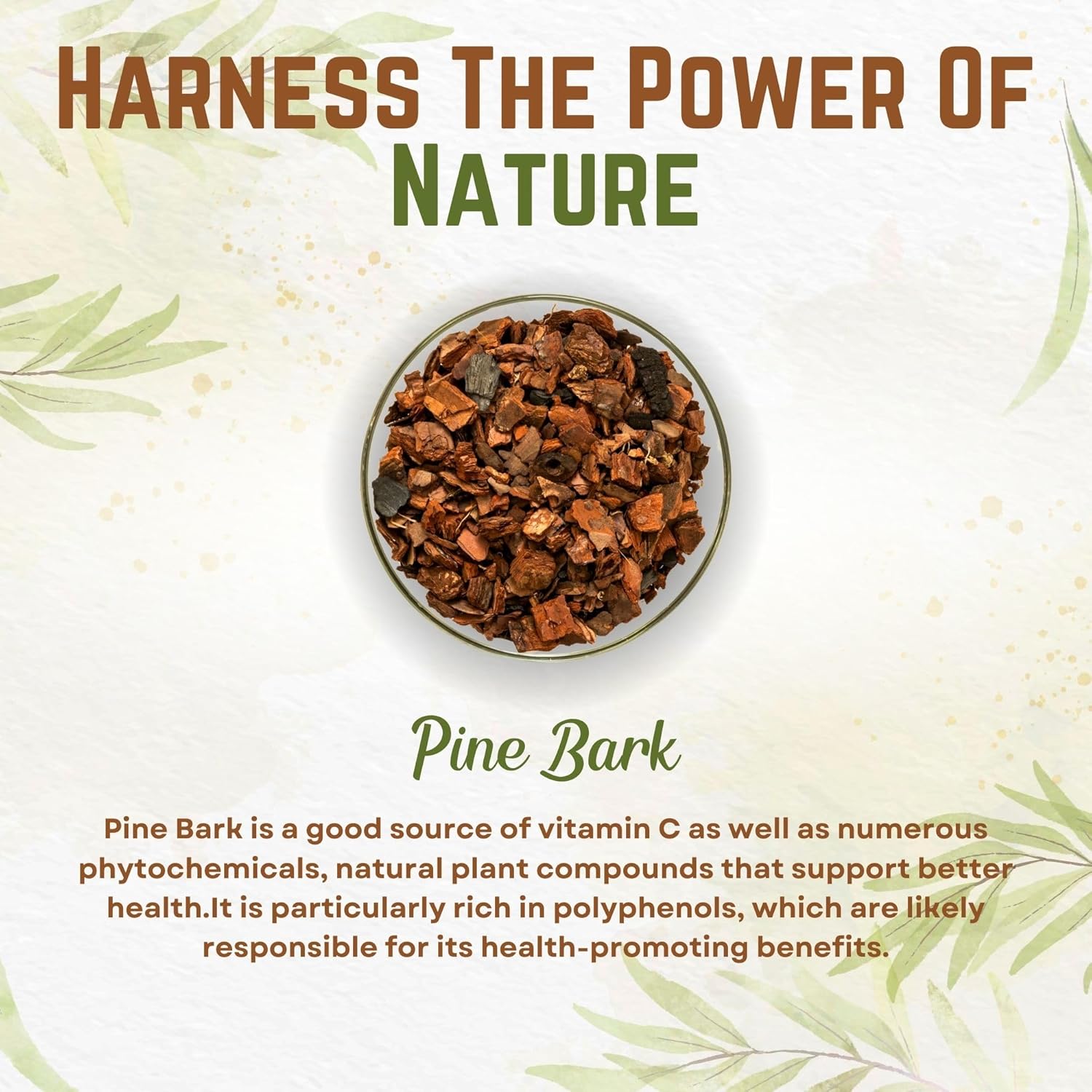 8oz Pine Bark Extract Powder | Standardized 95% Proanthocyanidins | Pure Non-GMO Vegan Supplement