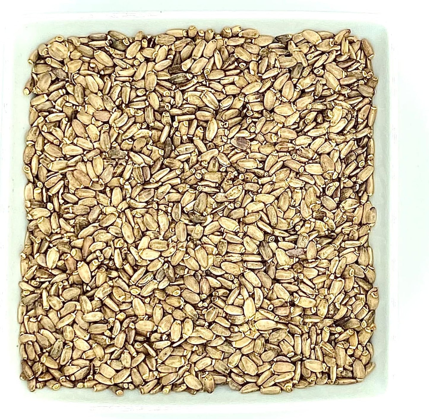 8oz White Label Raw Milk Thistle Seed Whole - Premium Wildcrafted Herbs & Spices by The Bloomin Herb Shoppe