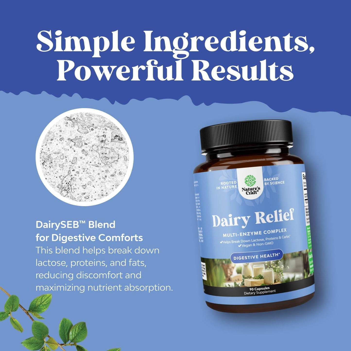 90-Count Fast Acting Dairy Relief Pills for Gas, Bloating & Digestive Support - Multi Enzyme Complex for Lactose Intolerance - Powerful Blend for Carb, Protein & Dairy Digestion by Natures Craft