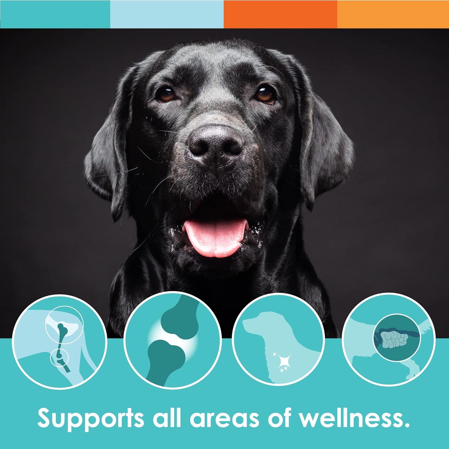 90 Count NUSENTIA Dog Vitamins: Array Soft Chews for Digestive Support, Probiotics & Enzymes